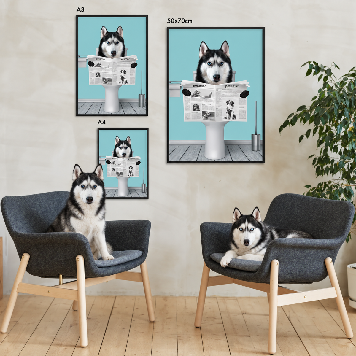 Three personalized posters of a husky reading a newspaper in black frames. Chairs and plant in the background.