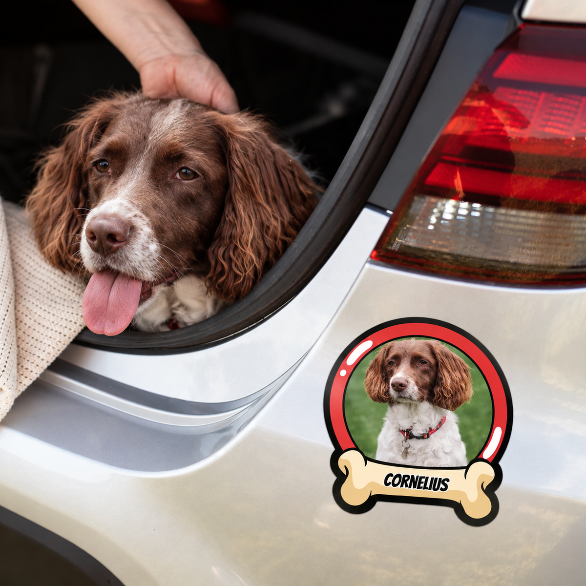 Car sticker with personalized dog picture and name, applied to a silver vehicle.
