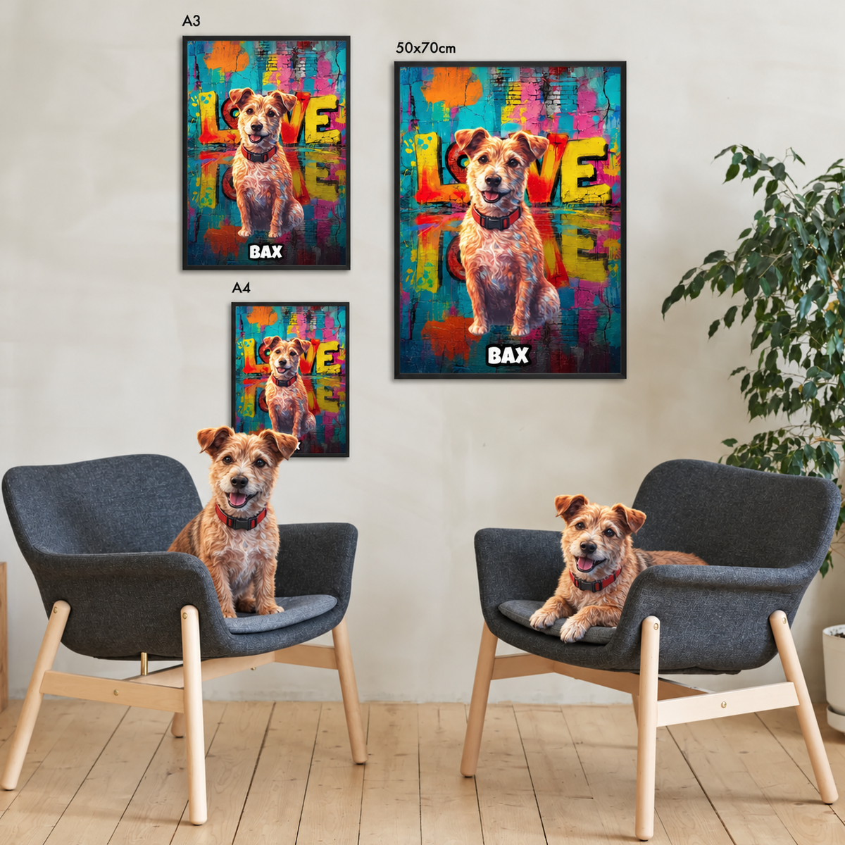 A living room with two armchairs, two personalized street-art posters and a dog in the middle.