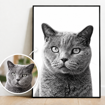 Personalized poster with a grey black-and-white cat portrait. Includes a smaller colour picture.