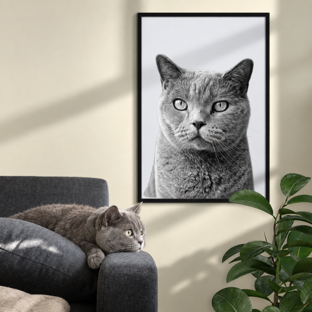 Personalized framed poster with black-and-white pet portrait of a grey cat. Cat lying on a sofa.