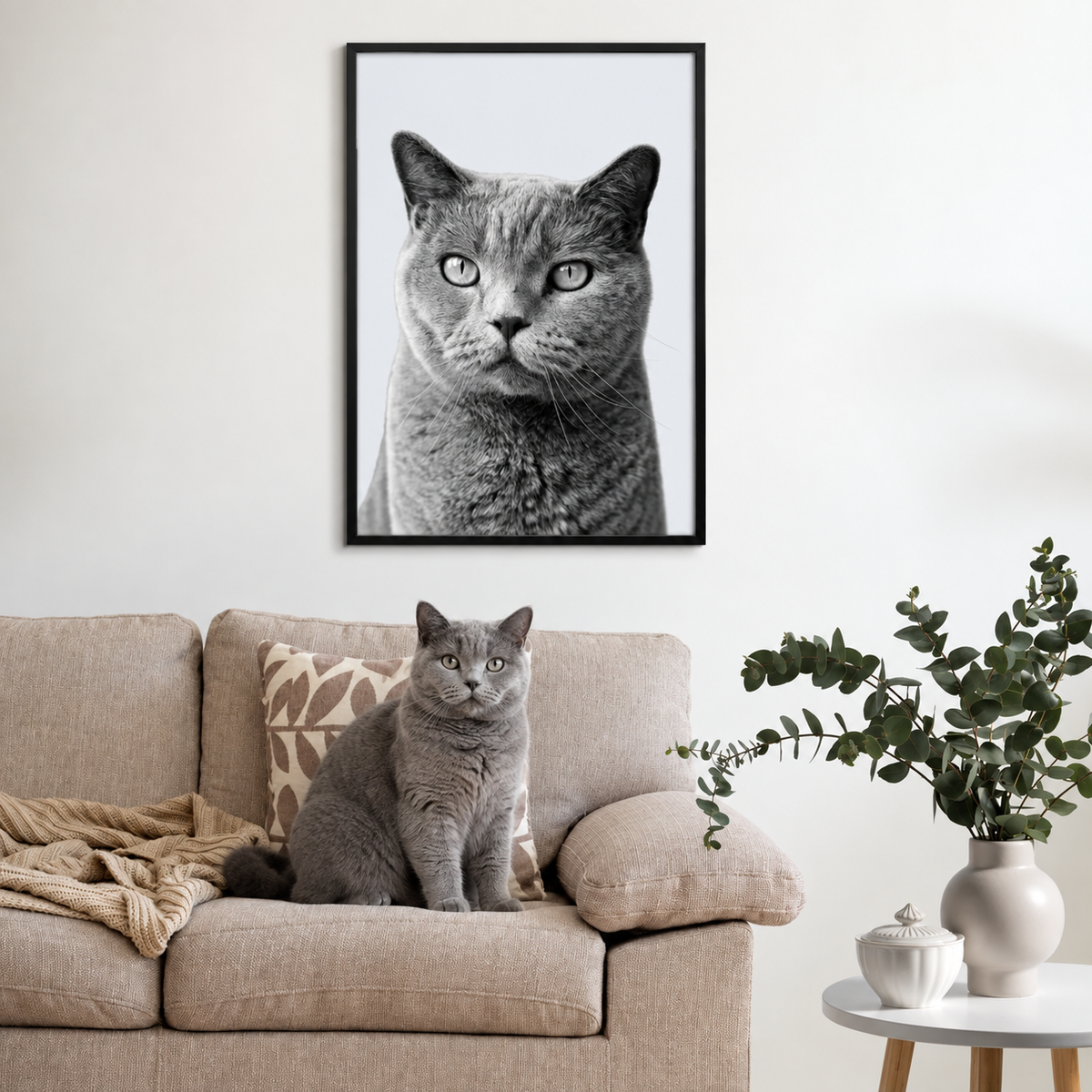 Framed grey pet portrait above a beige couch with a similar grey cat in front.