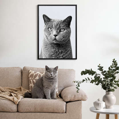 Framed grey pet portrait above a beige couch with a similar grey cat in front.
