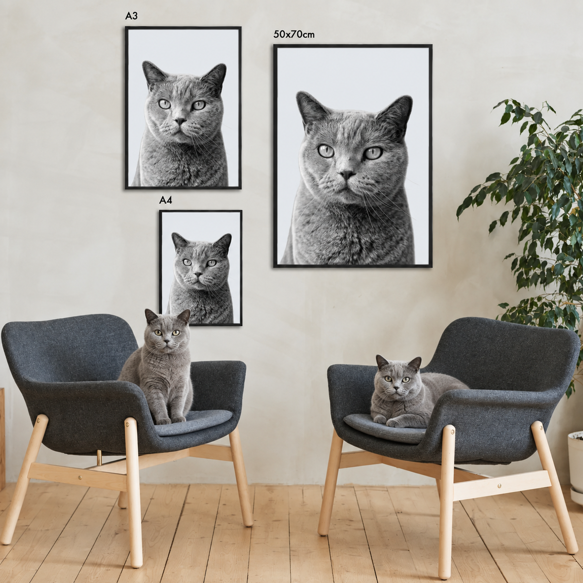 Three framed pet portraits of a grey tabby cat in a modern living space.