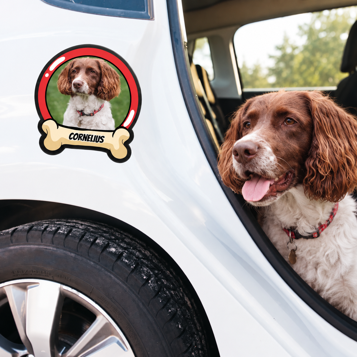 Personalized car sticker with dog picture and the name "CORNELIUS" on a white car door.