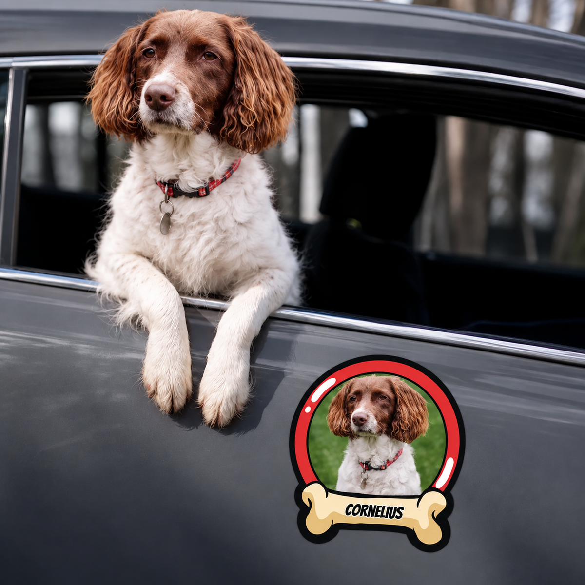 Personalized car sticker with a dog picture and the name "CORNELIUS" in a bone frame.