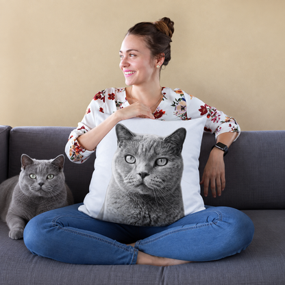 Pillow with a black-and-white cat portrait, person sitting on a sofa holding the pillow.