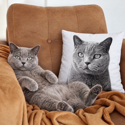 Cat portrait on a pillow, grey pillow with printed cat picture, next to a cat on a sofa.
