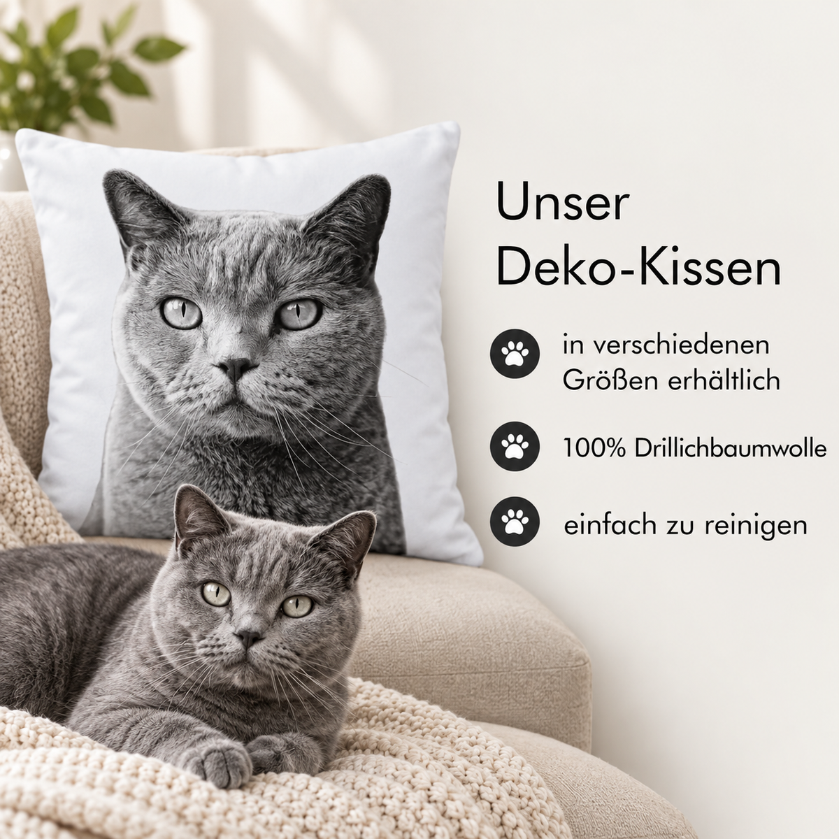 Pillow with grey pet portrait and a real grey cat on a cosy armchair.