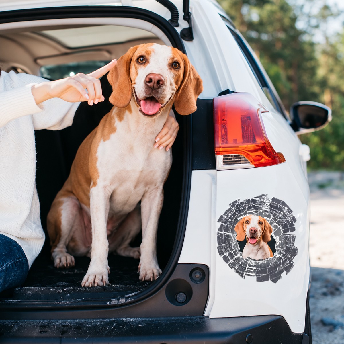 Personalized Car Sticker - Peeking Photo for Glass