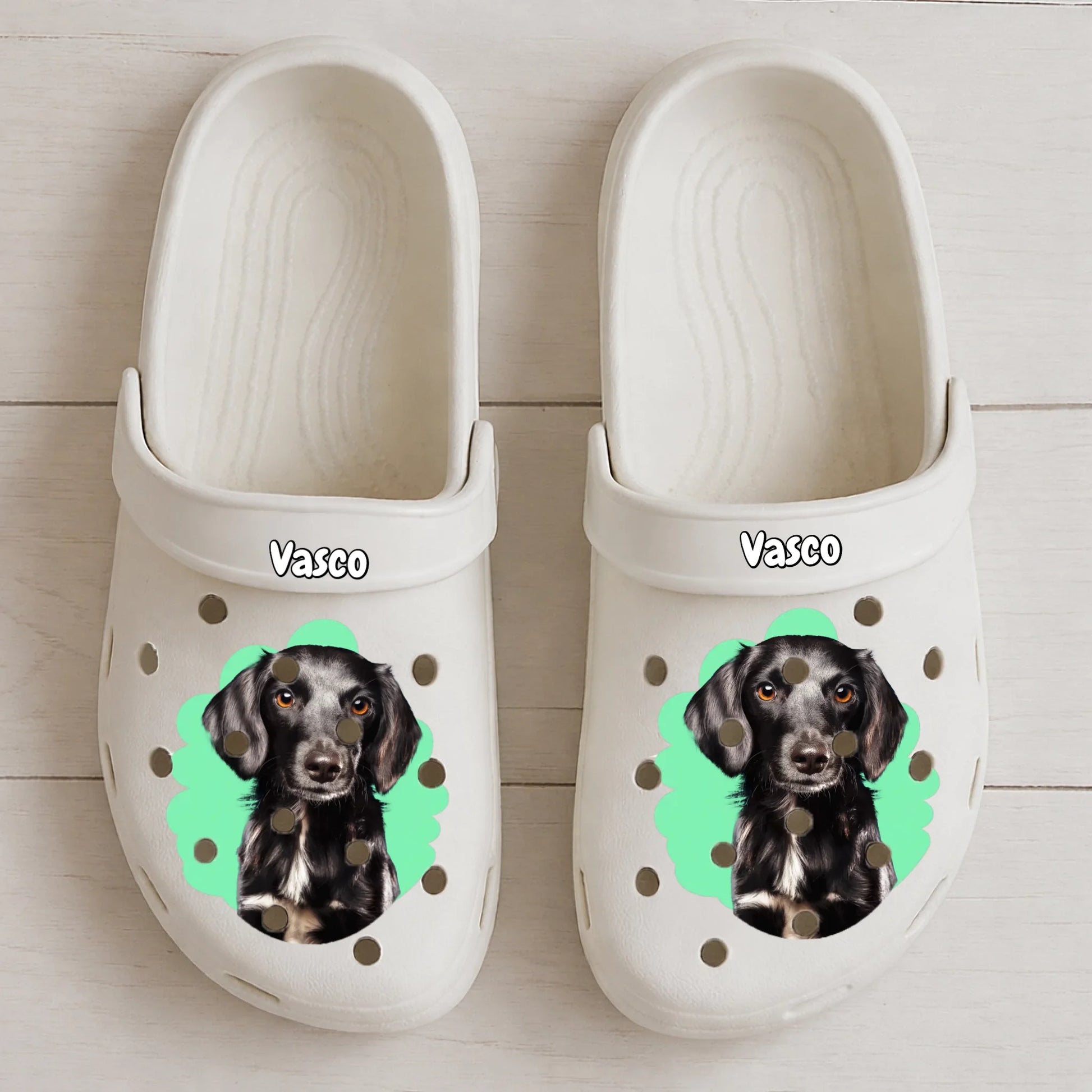 Clogs