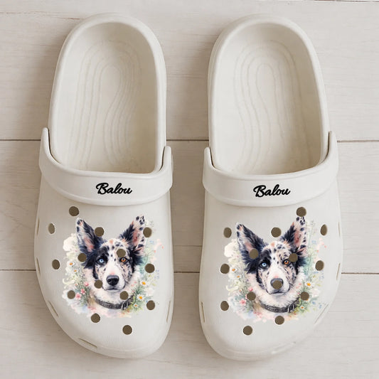 Clogs