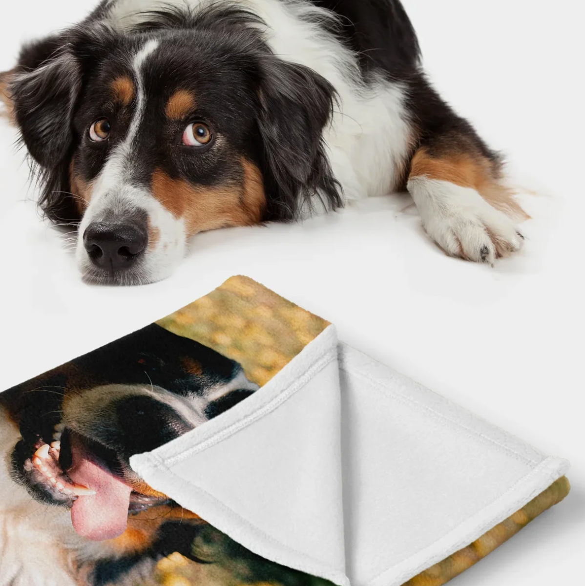 Personalized blanket with a dog photo, made of soft material, one side with fluffy texture visible.