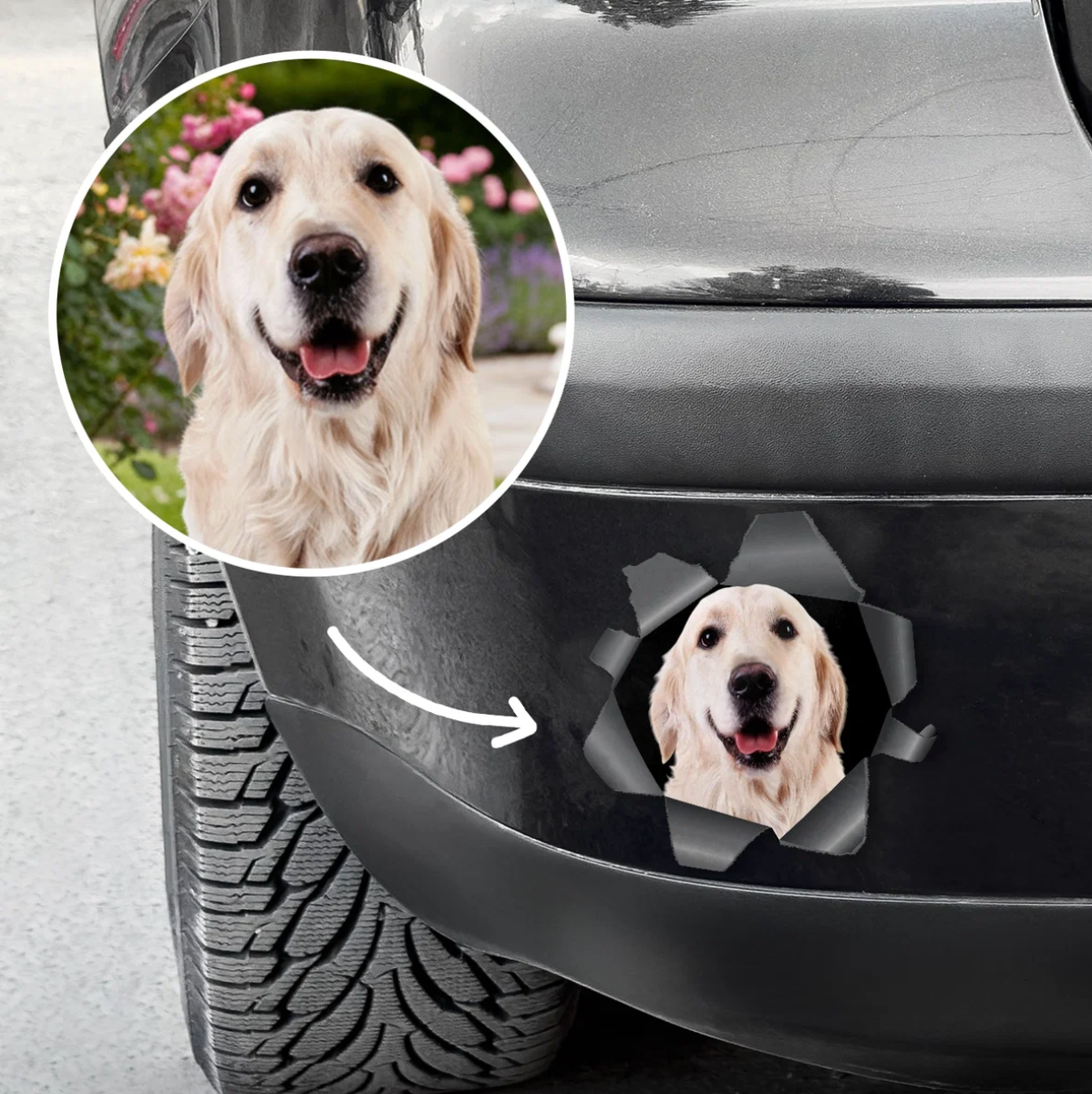 Personalized car sticker with a dog picture peeking out through a torn-look effect.