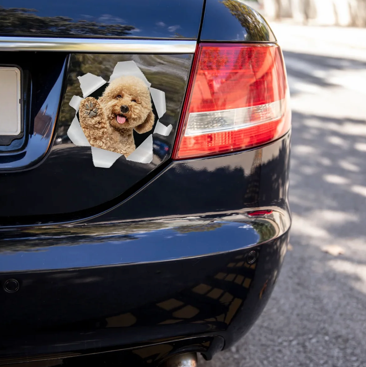 Car sticker with a dog looking through a crack in a grey wall, applied to a black car.