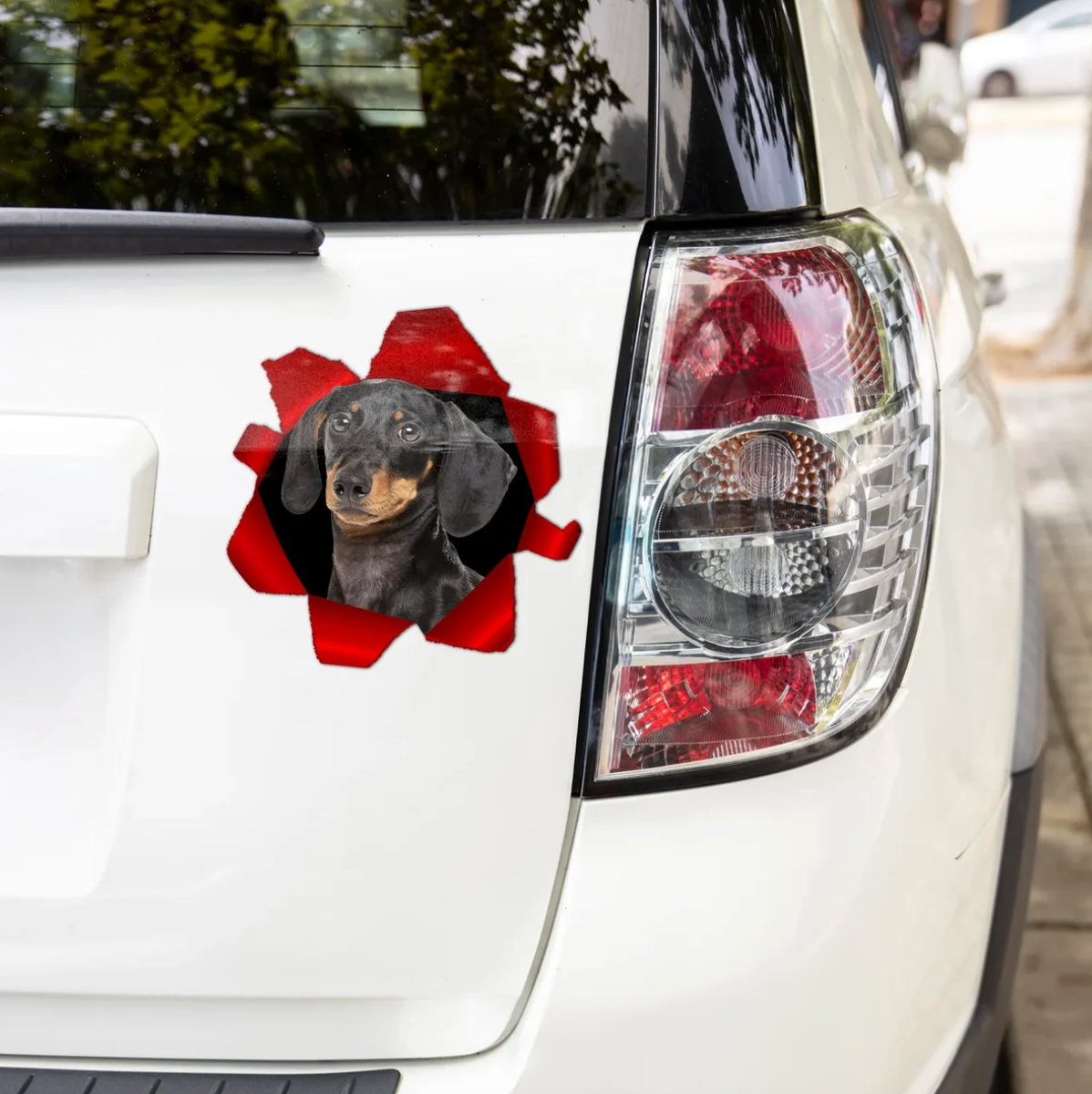 Personalized car sticker with a peeking dachshund, coloured backgrounds in red and black.