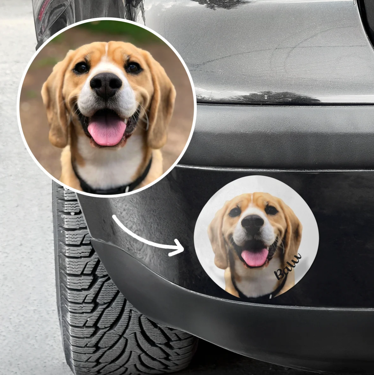 Personalized car sticker with a photo of a Beagle and the lettering "Bau".