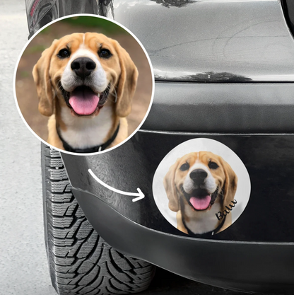 Personalized car sticker with a photo of a Beagle and the lettering "Bau".