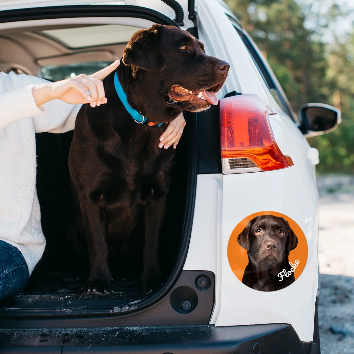 Personalized car sticker with dog picture on a white vehicle. Dog sitting in the boot.