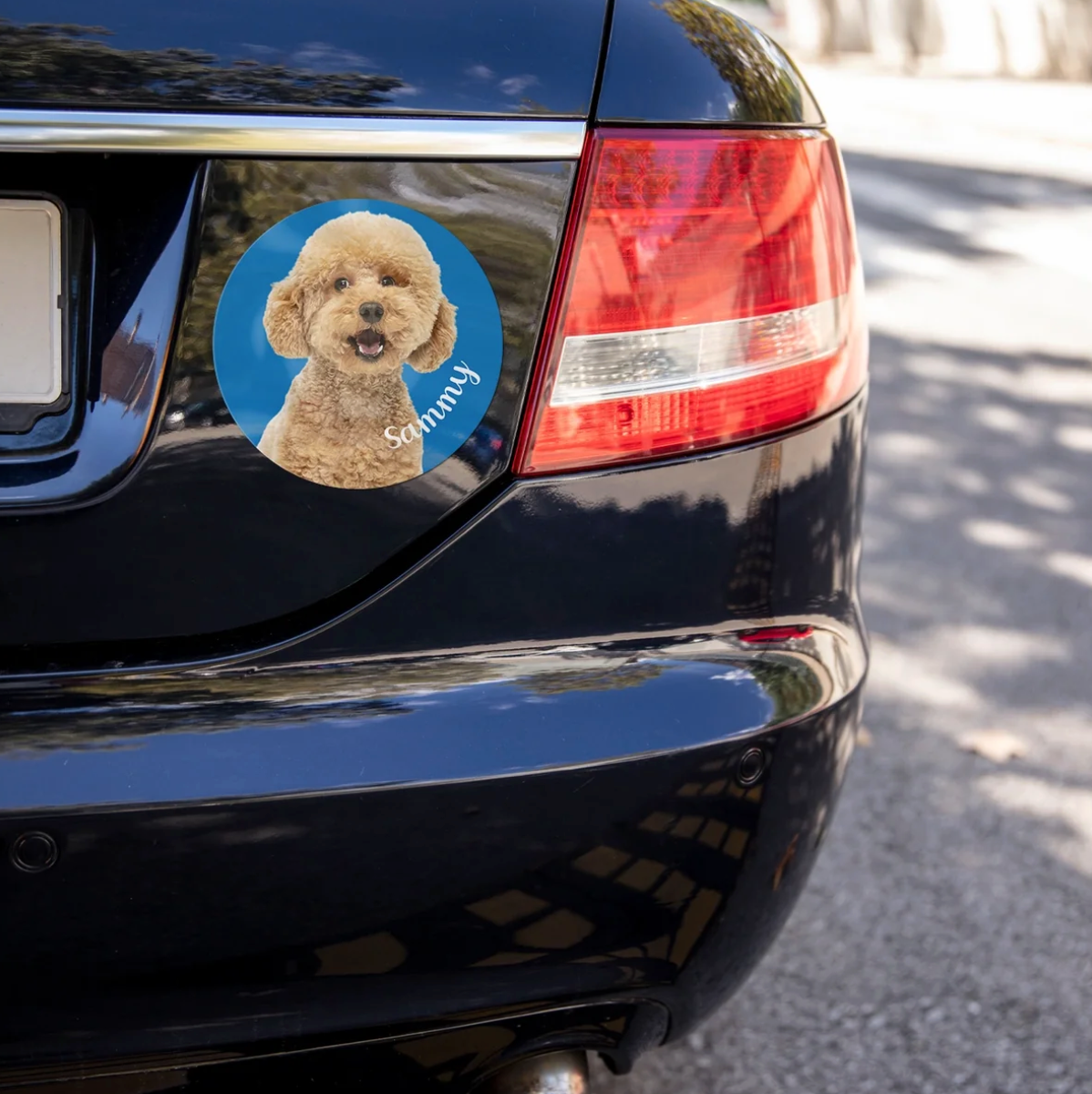 Car sticker with a dog picture and the name "Sammy" on a black vehicle.