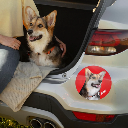 Car sticker with a photo of a dog on a car's tailgate.