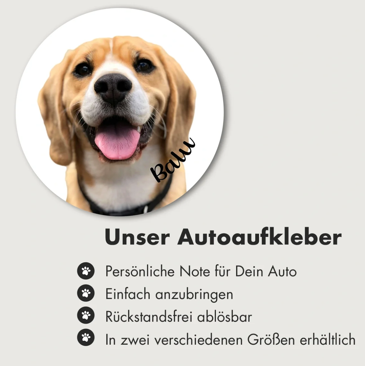 Round car sticker with photo of a Beagle and the lettering "Balu".