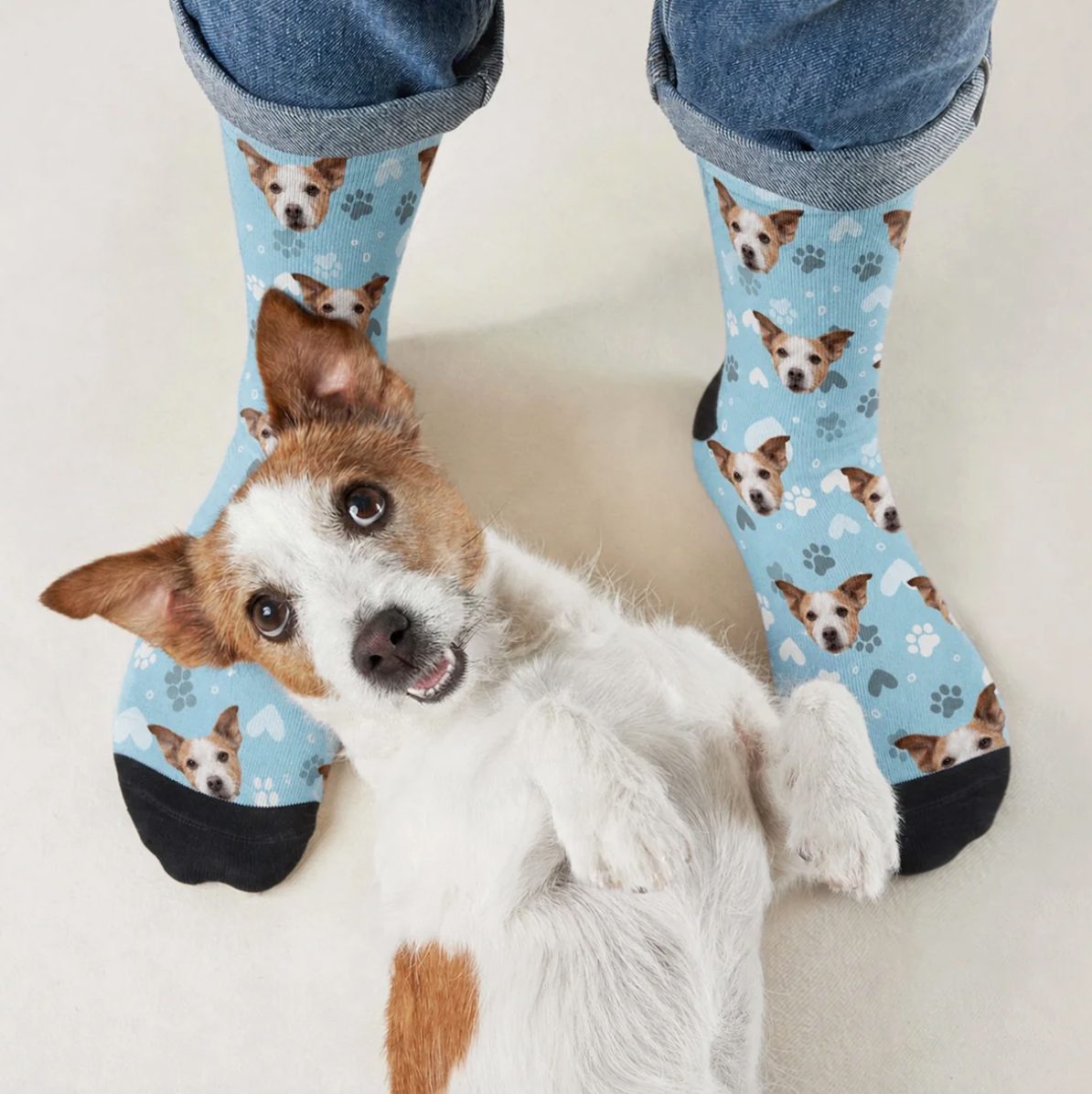 Personalized socks with dog motif on a light blue background and a dog lying on the floor.
