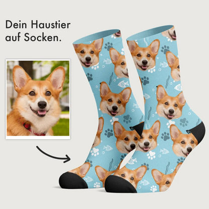 Personalized socks with blue base colour and corgi pattern.