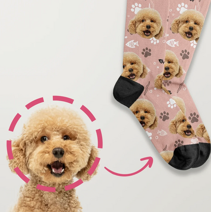 Personalized socks with photo print of a dog on a pink background and black cuff.