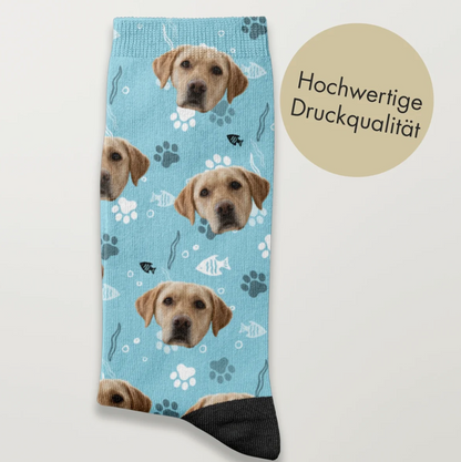 Blue socks with dog motif and paw prints, high print quality.