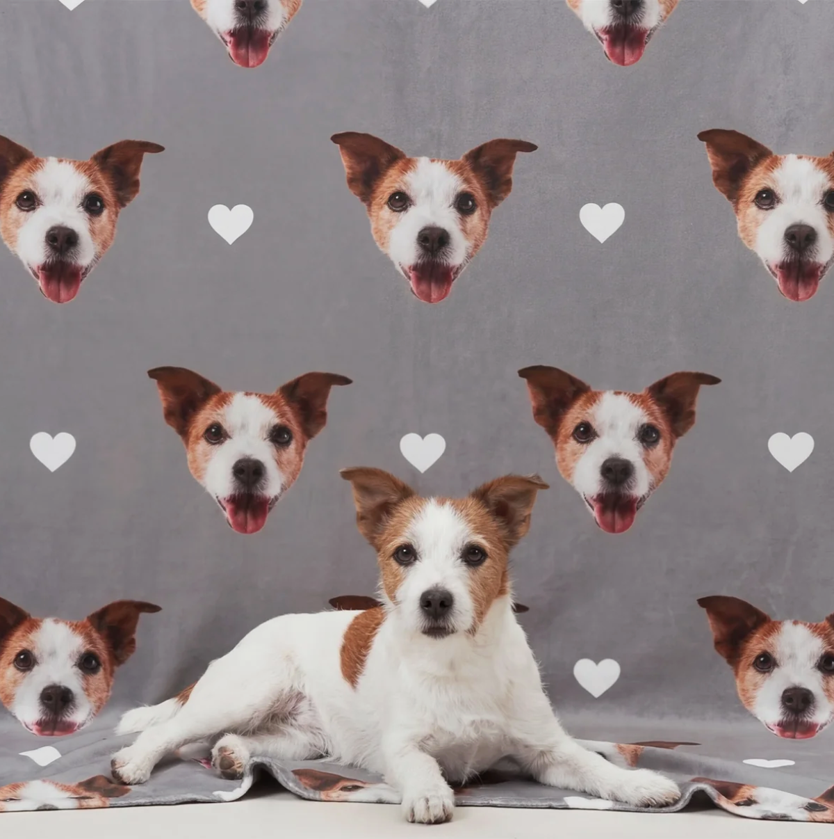 Personalized grey pet blanket with dog heads and hearts, animal lying in the foreground.