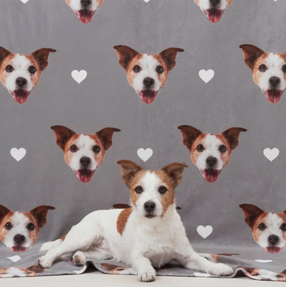 Personalized grey pet blanket with dog heads and hearts, animal lying in the foreground.