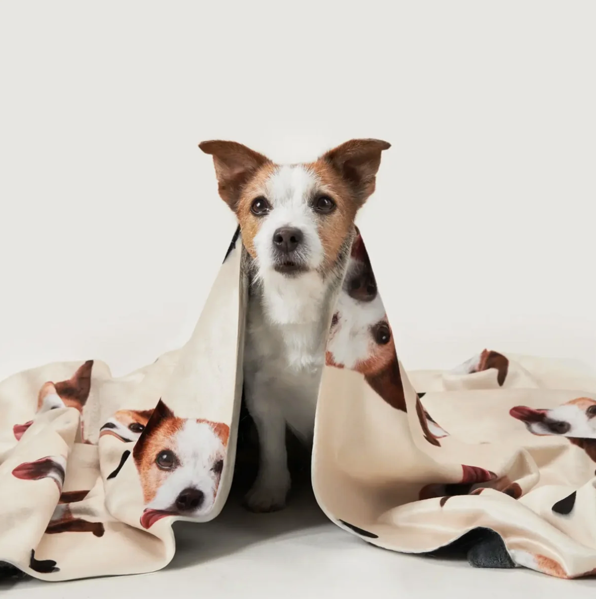 Pet blanket with animal heads wrapped around a dog, beige with colourful print.