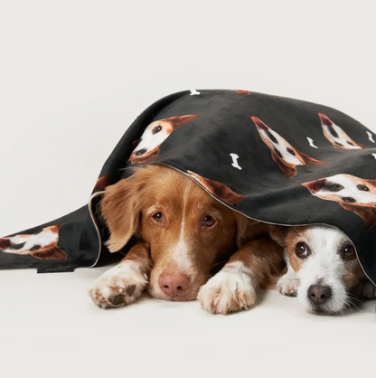 Two dogs lying under a personalized blanket with pet heads on black.