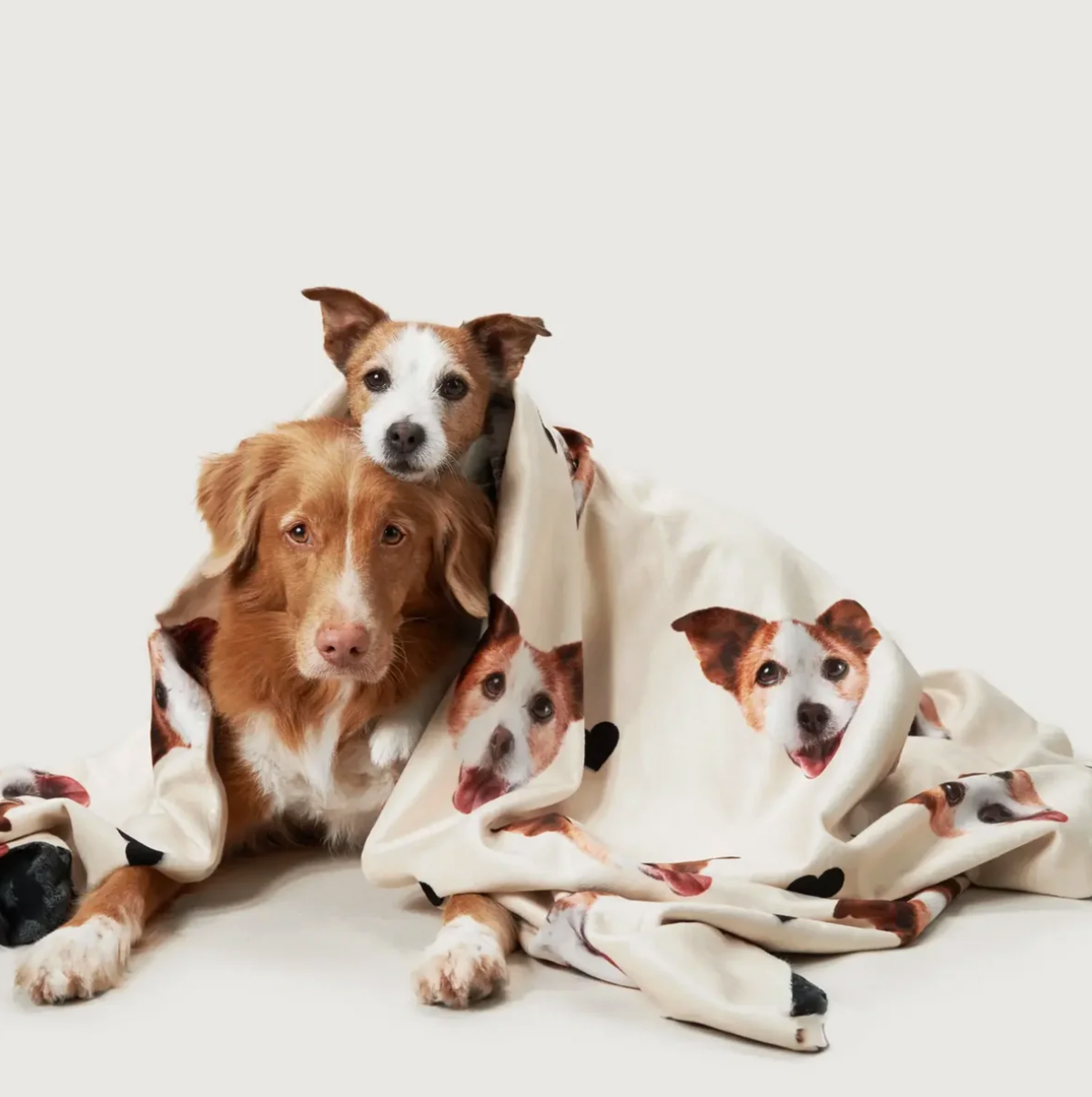 Personalized beige blanket with pet head motifs, wrapped around two dogs.