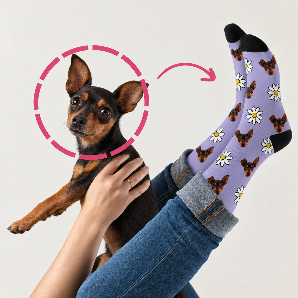 Personalized socks with dog motif on a purple background, paired with denim trousers and a lively dog.