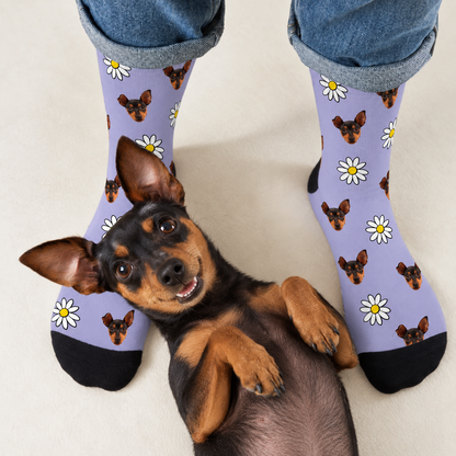Personalized socks with photo pattern on a purple background, with a smiling dog on the floor.