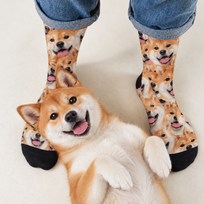 Personalized socks with photo pattern of smiling dogs in brown and black. A dog lying next to them.