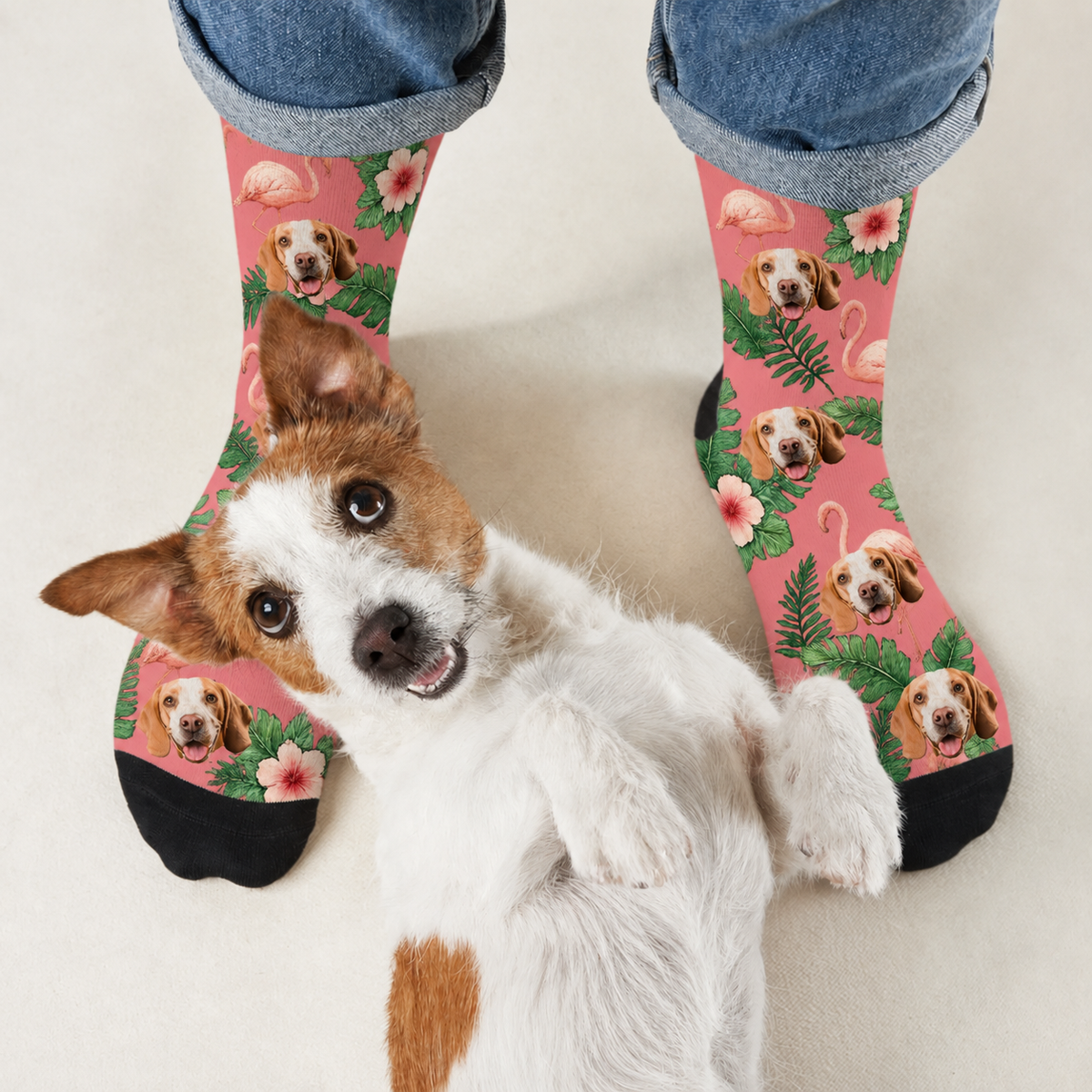 Personalized socks with dog designs and flamingos on a pink background, trimmed in black.