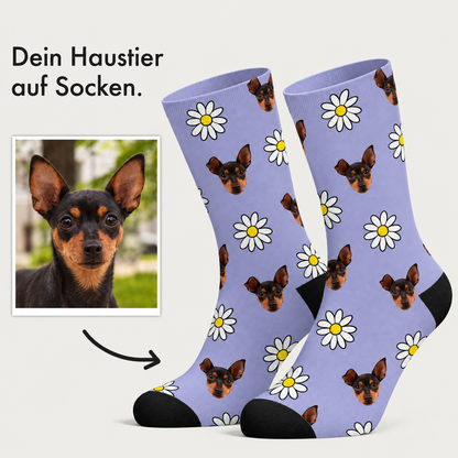 Personalized socks with purple background, floral pattern and dog faces. Cotton material.