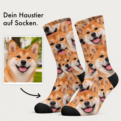 Personalized socks with colourful photo pattern of dogs, mainly orange and black.