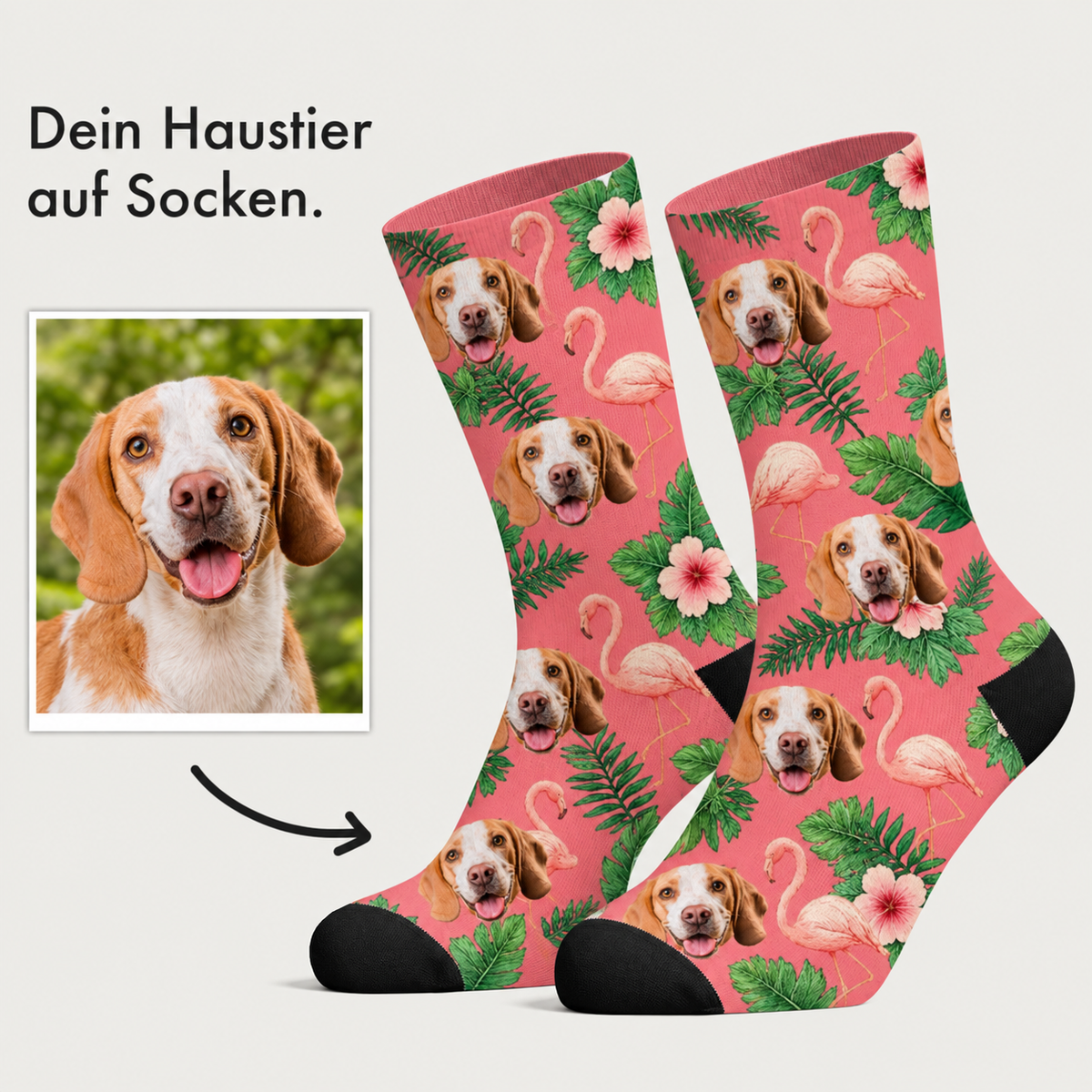 Personalized socks with dog motif, pink background and tropical flowers.