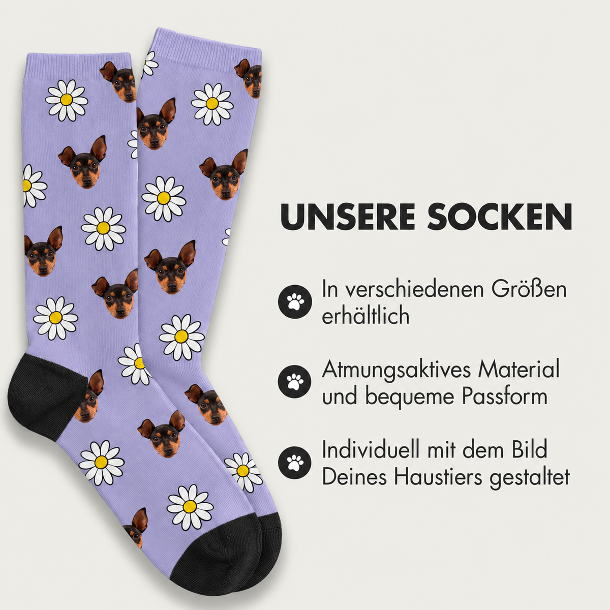 Purple socks with dog designs and floral print, breathable and available in different sizes.