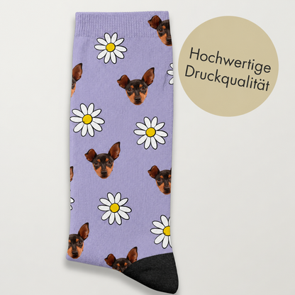 Personalized purple socks with dog motif and daisies, high-quality print.