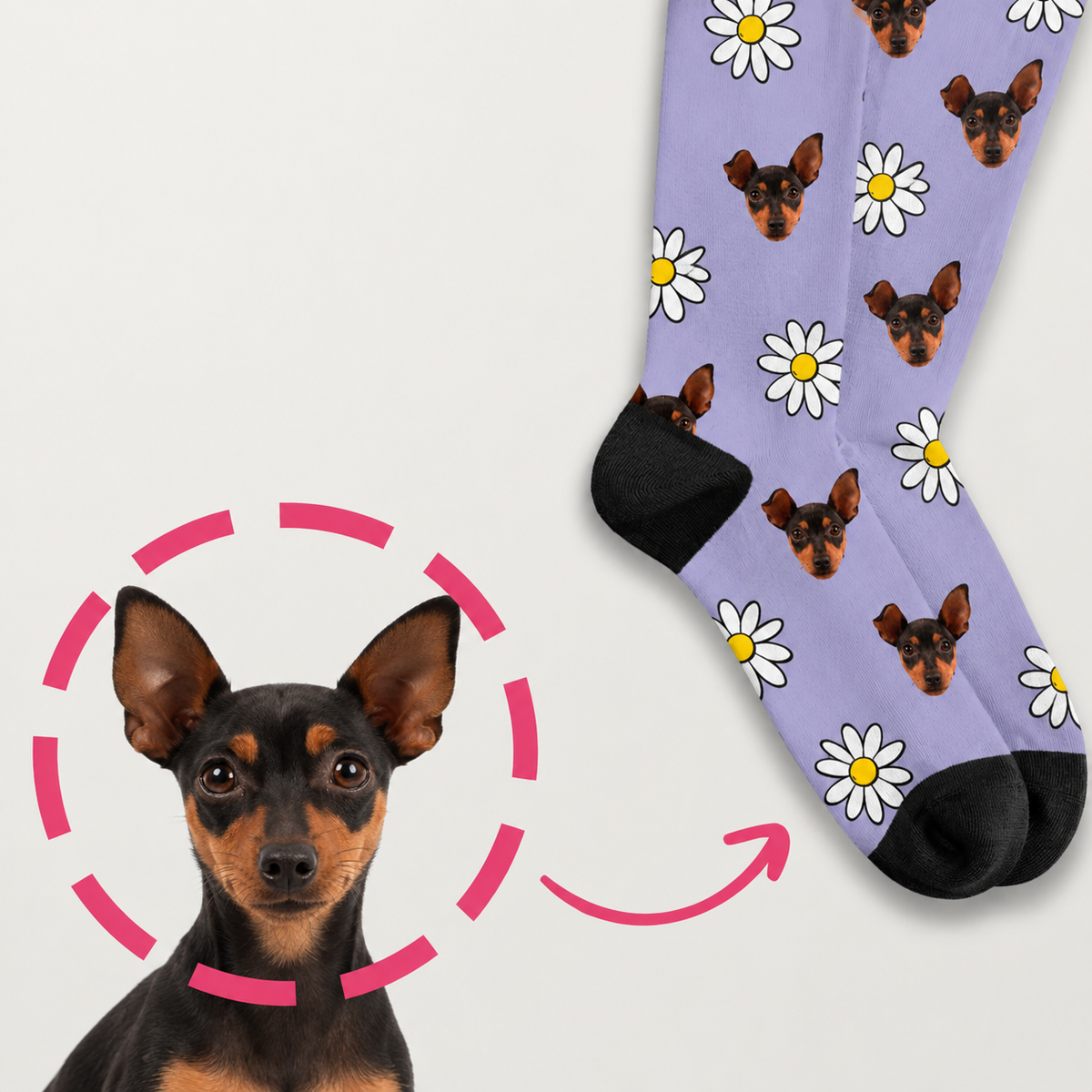 Personalized socks with purple background, printed with dog images and white flowers.