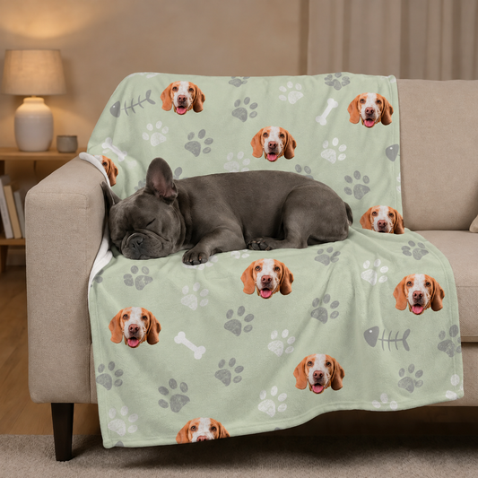 Pet blanket with mint green background, printed with dog motifs and paw prints, on a couch.