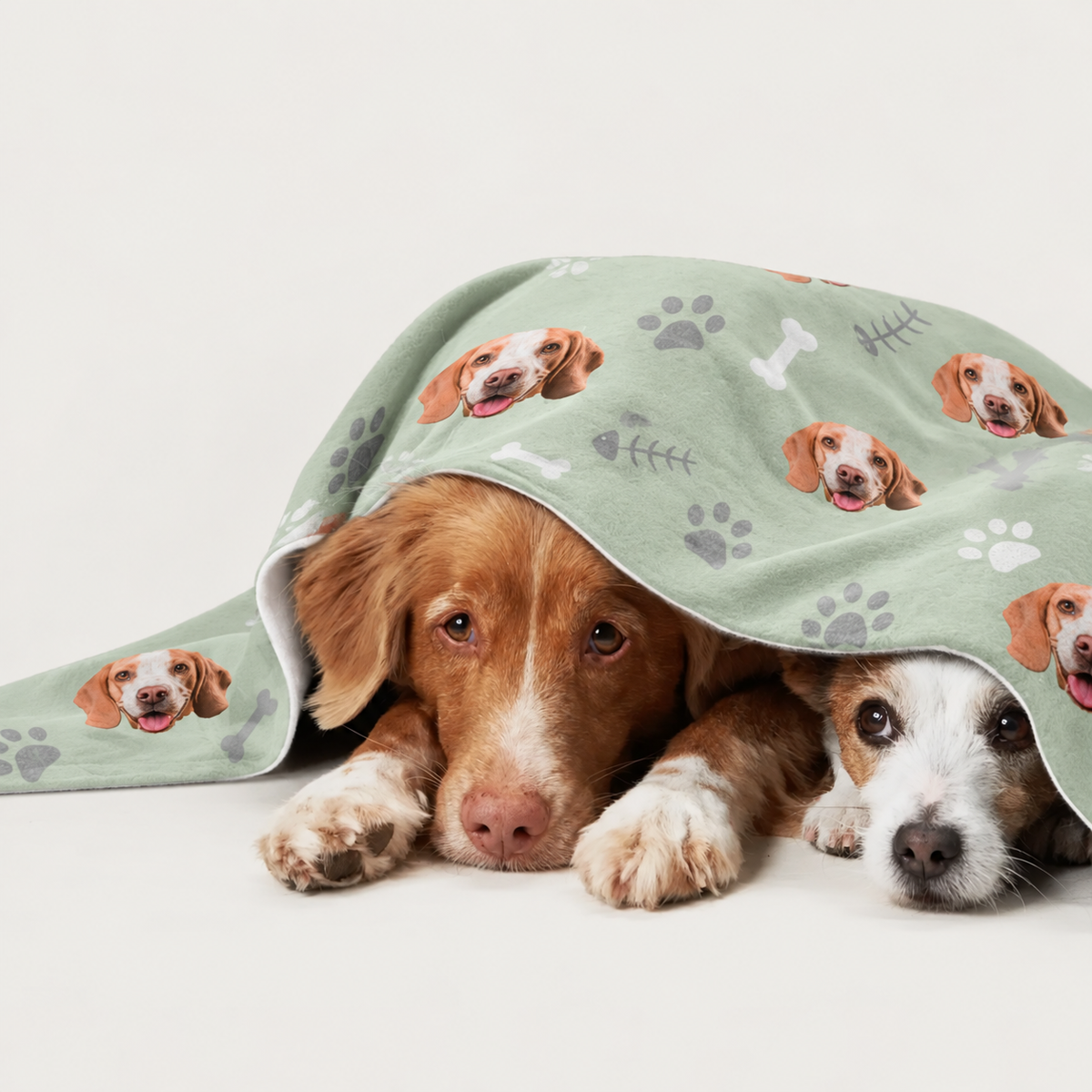 Two dogs lying under a personalized pastel green blanket with dog motifs.
