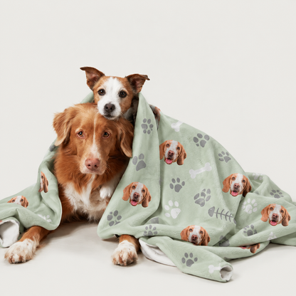 Mint green pet blanket with dog motifs, two dogs snuggled up in it.