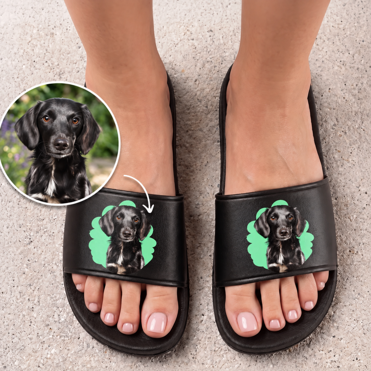 Black slides with a personalized dog illustration on top.