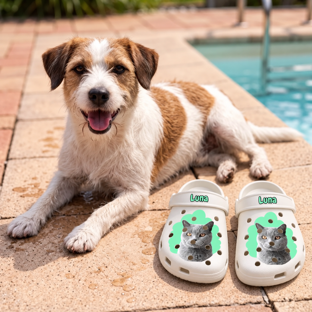 Personalized clogs with a grey and green cat portrait next to a dog by the pool.